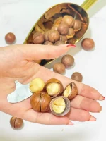 فندق ماکادمیا پادشاه آجیل‌ها