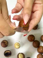 فندق ماکادمیا پادشاه آجیل‌ها